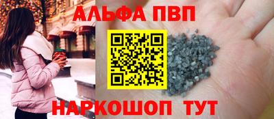 крисы Кингисепп