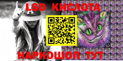 крисы Кингисепп