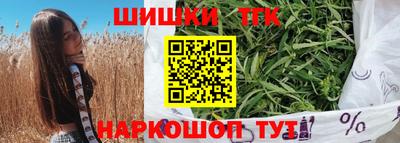 крисы Кингисепп