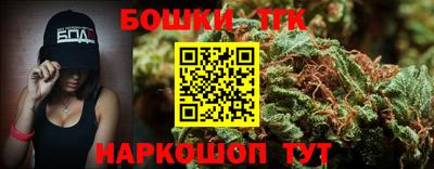 крисы Кингисепп