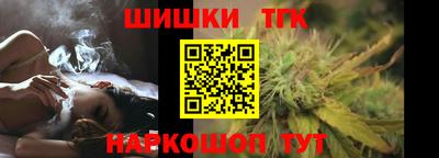 крисы Кингисепп