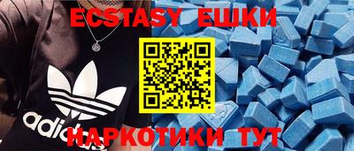 крисы Кингисепп