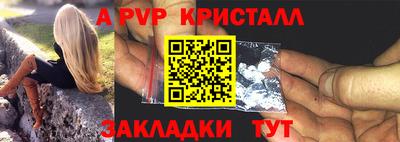 крисы Кингисепп