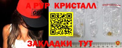 крисы Кингисепп