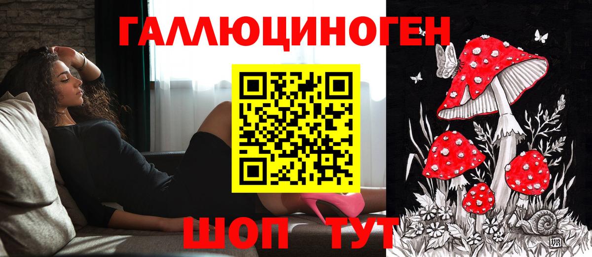 Кыштым  Псилоцибиновые грибы Psilocybine cubensis  Вход с VPN 