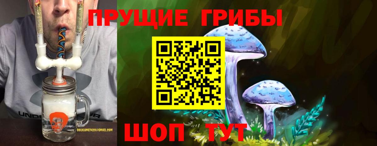 Галлюциногенные грибы прущие грибы Кыштым